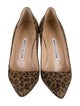 Manolo Blahnik Suede Animal Print Pumps