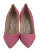 Manolo Blahnik Suede Pumps