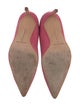 Manolo Blahnik Suede Pumps