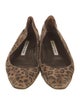 Manolo Blahnik Suede Animal Print Flats