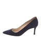 Manolo Blahnik Suede Pumps
