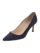 Manolo Blahnik Suede Pumps