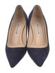 Manolo Blahnik Suede Pumps