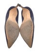 Manolo Blahnik Suede Pumps