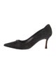 Manolo Blahnik Suede Pumps