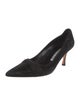 Manolo Blahnik Suede Pumps