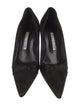 Manolo Blahnik Suede Pumps