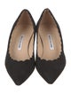 Manolo Blahnik Srilasca Suede Pumps
