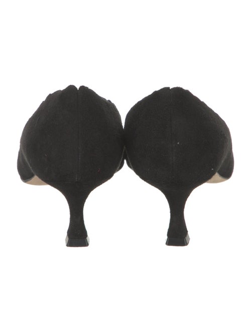 Manolo Blahnik Srilasca Suede Pumps
