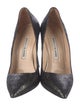 Manolo Blahnik Suede Pumps