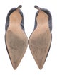 Manolo Blahnik Suede Pumps