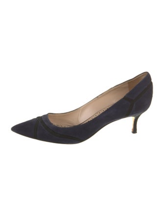 Manolo Blahnik Suede Pumps