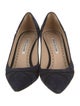 Manolo Blahnik Suede Pumps