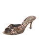 Manolo Blahnik Snakeskin Animal Print Slides