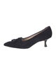 Manolo Blahnik Suede Pumps