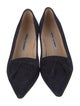 Manolo Blahnik Suede Pumps