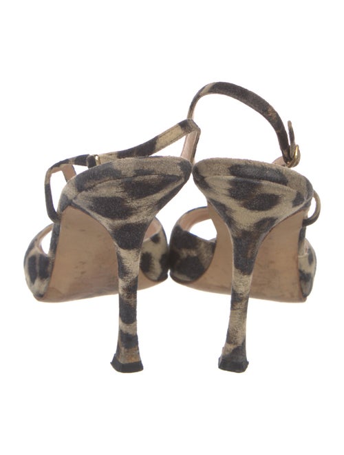 Manolo Blahnik Suede Animal Print Slingback Sandals
