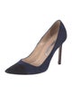 Manolo Blahnik Suede Pumps
