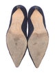 Manolo Blahnik Suede Pumps