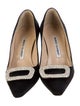 Manolo Blahnik Ponyhair Crystal Embellishments Pumps