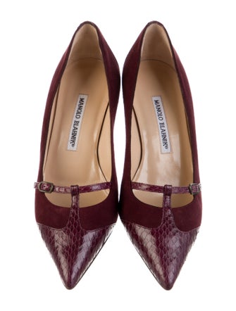Manolo Blahnik Suede Pumps