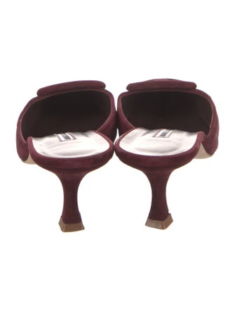 Manolo Blahnik Suede Mules