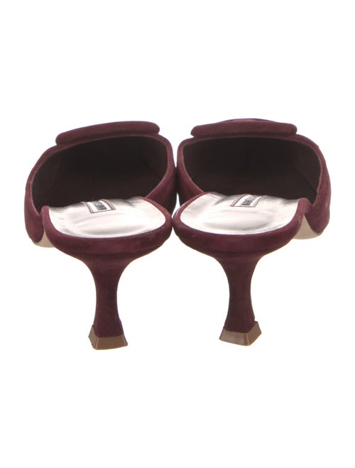 Manolo Blahnik Suede Mules