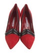 Manolo Blahnik Suede Pumps