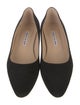 Manolo Blahnik Suede Pumps