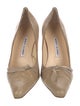 Manolo Blahnik Lizard Pumps