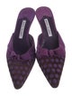 Manolo Blahnik Suede Printed Mules