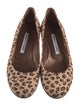Manolo Blahnik Suede Animal Print Flats