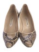 Manolo Blahnik Snakeskin Animal Print Pumps
