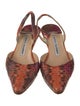 Manolo Blahnik Snakeskin Animal Print Slingback Pumps