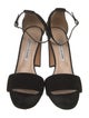 Manolo Blahnik Suede Sandals