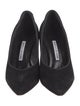 Manolo Blahnik Suede Pumps