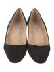 Manolo Blahnik Suede Pumps