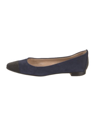 Manolo Blahnik Suede Ballet Flats