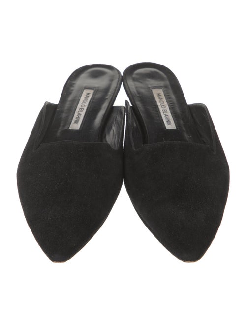 Manolo Blahnik Suede Mules
