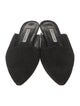 Manolo Blahnik Suede Mules