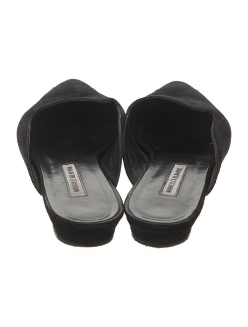 Manolo Blahnik Suede Mules