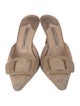 Manolo Blahnik Suede Slides
