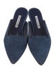 Manolo Blahnik Suede Mules