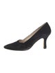 Manolo Blahnik Suede Pumps