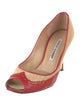 Manolo Blahnik Colorblock Pattern Pumps