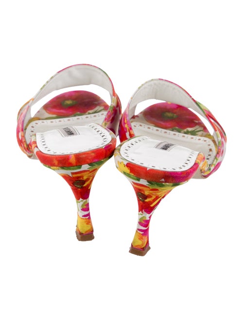 Manolo Blahnik Floral Print Slides