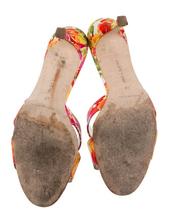 Manolo Blahnik Floral Print Slides
