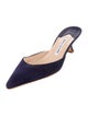 Manolo Blahnik Suede Mules