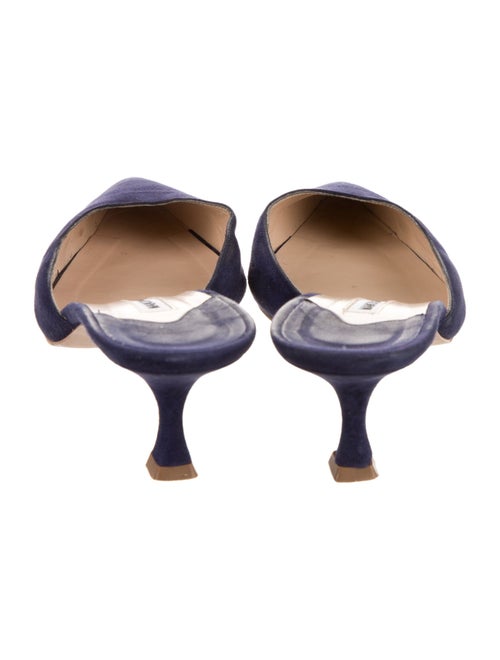 Manolo Blahnik Suede Mules