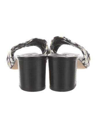 Manolo Blahnik Floral Print Slides